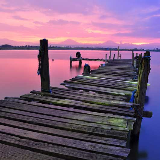 在线短信呼死你